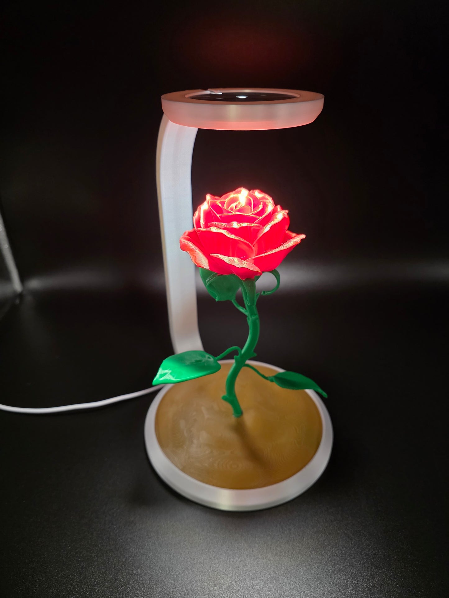 Rose Lumineuse
