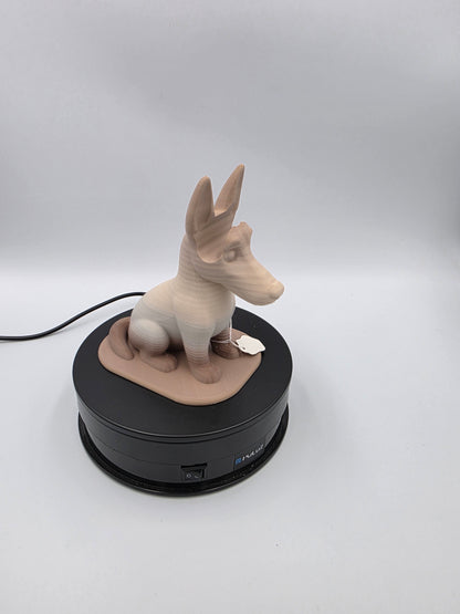 Chien Porte Lunettes