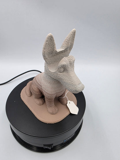 Chien Porte Lunettes