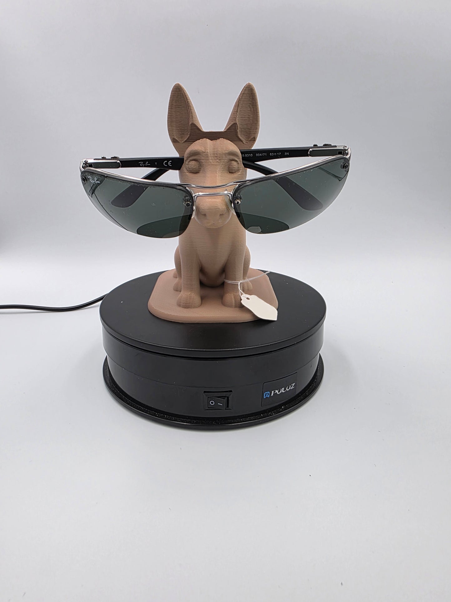 Chien Porte Lunettes