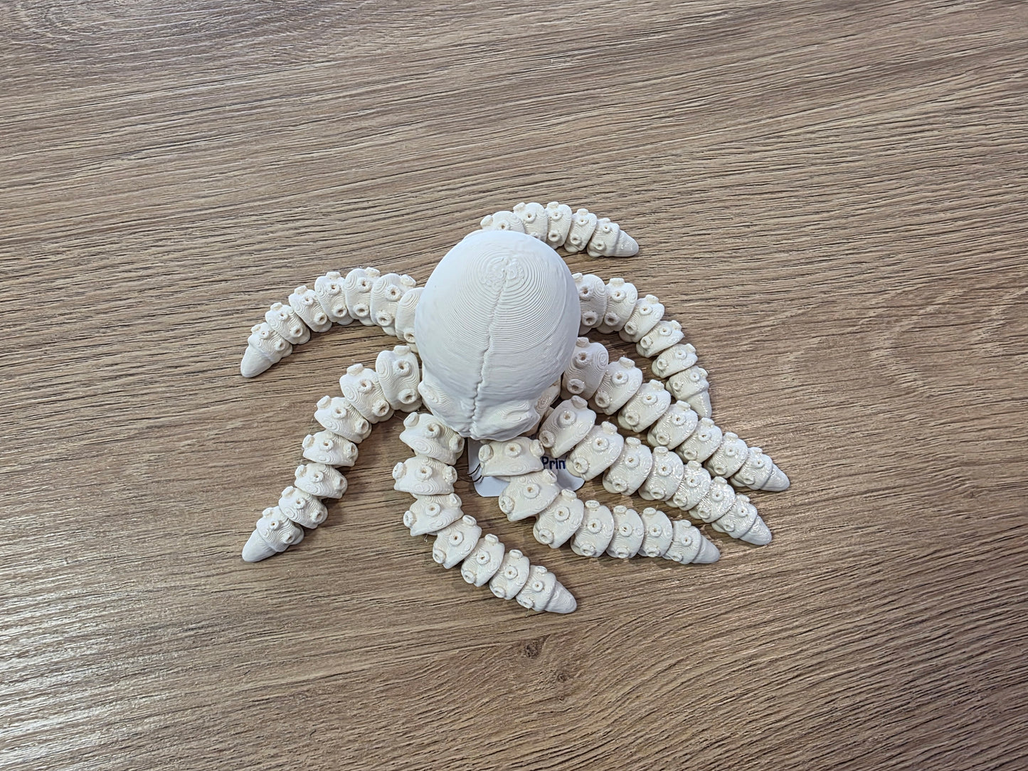 🐙 Poulpe Articulé 2🐙