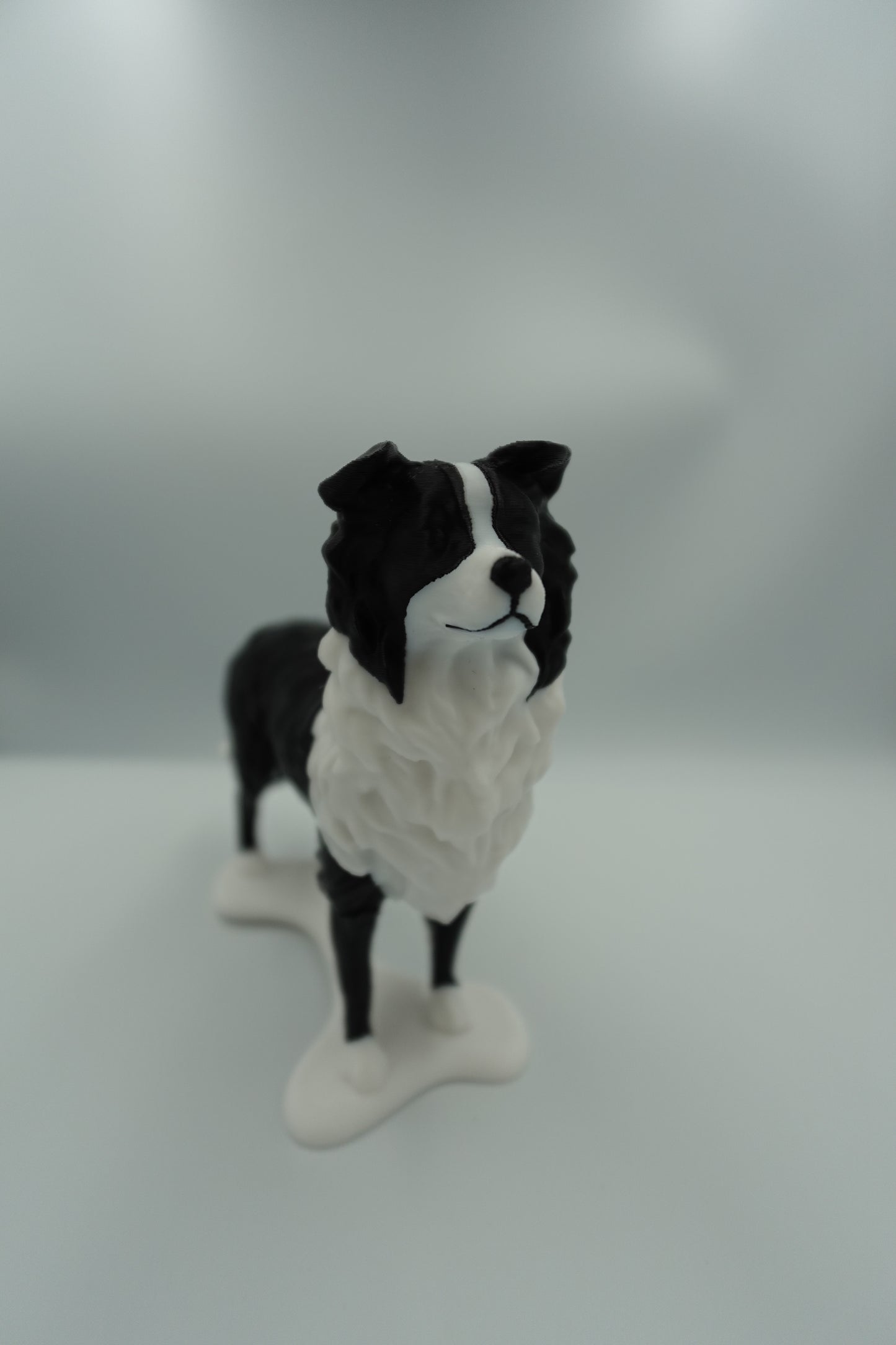 Repose lunettes Chien