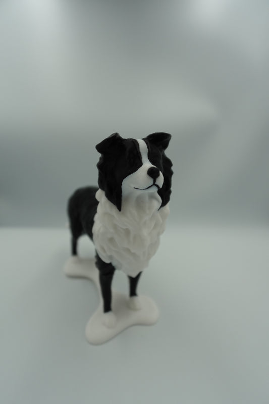 Repose lunettes Chien