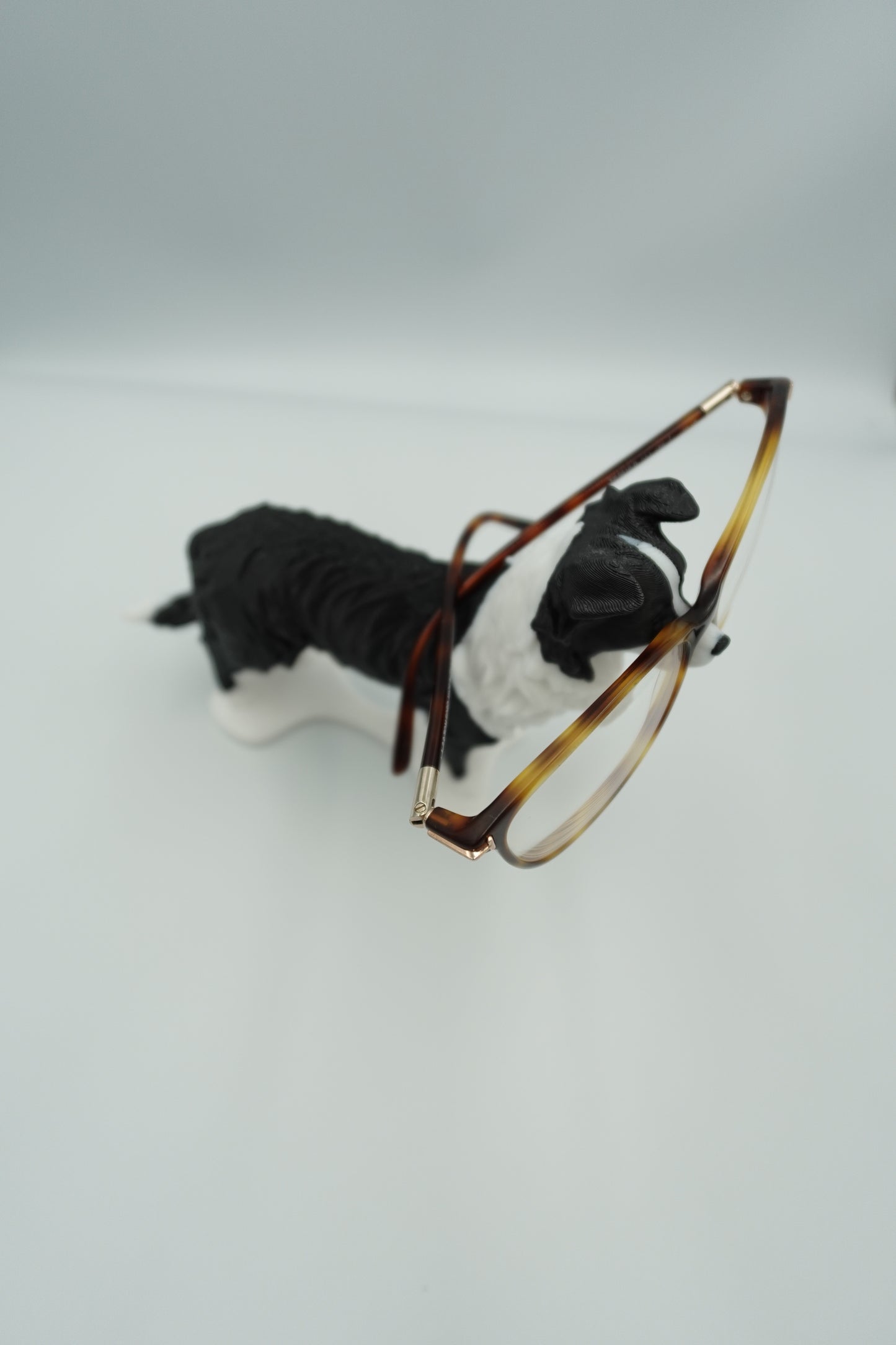 Repose lunettes Chien