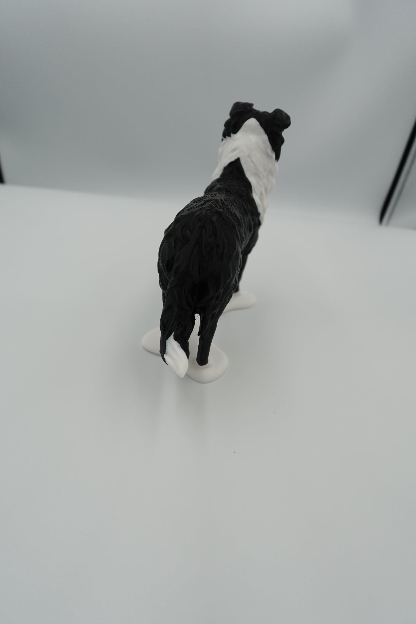 Repose lunettes Chien