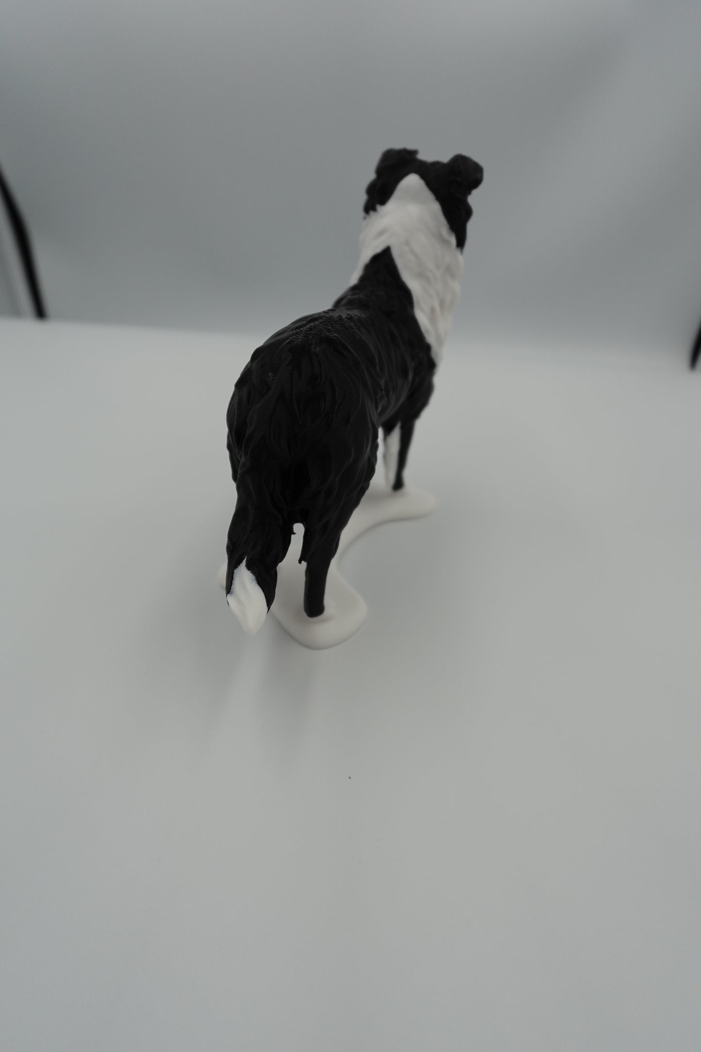 Repose lunettes Chien