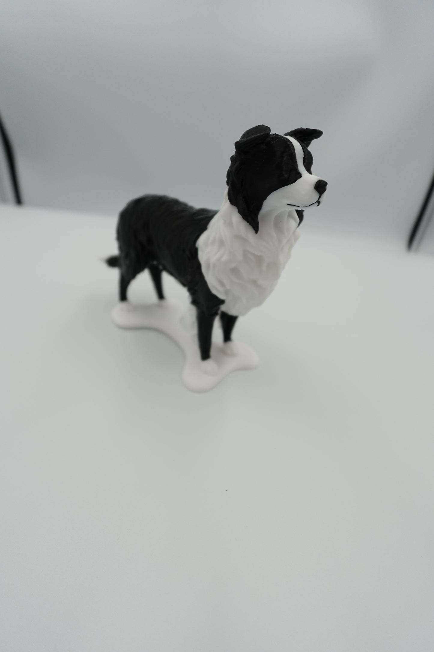 Repose lunettes Chien