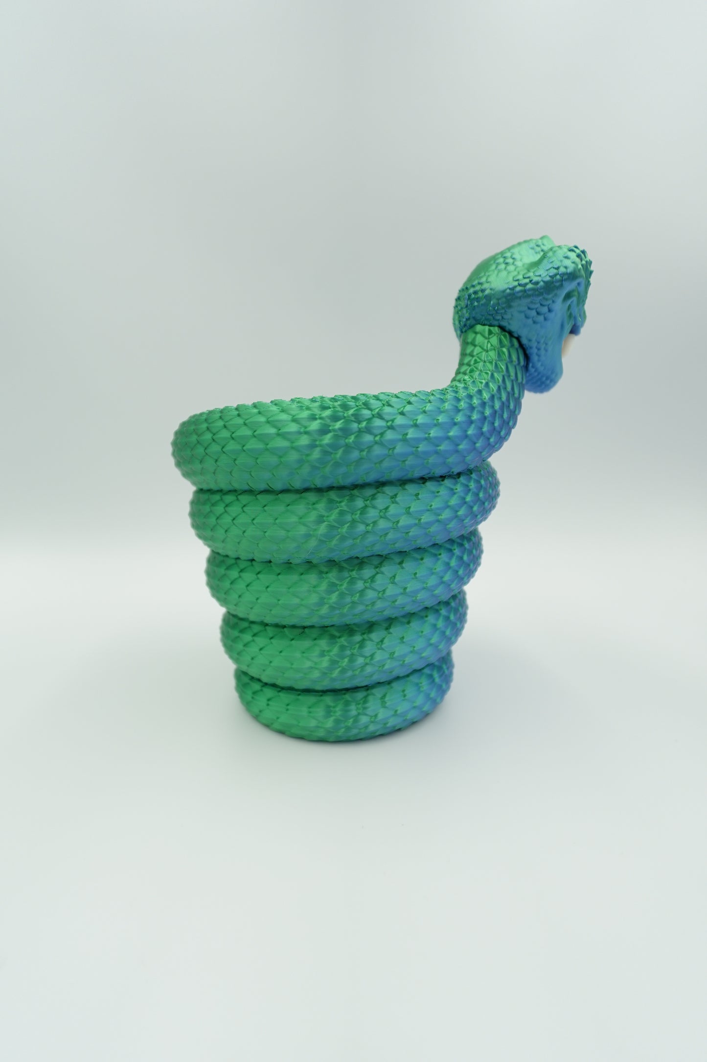 Serpent Porte stylos 🐍