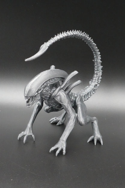 Alien Xénomorphe😈👽