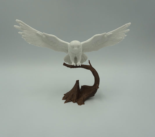 Petite Chouette suspendu