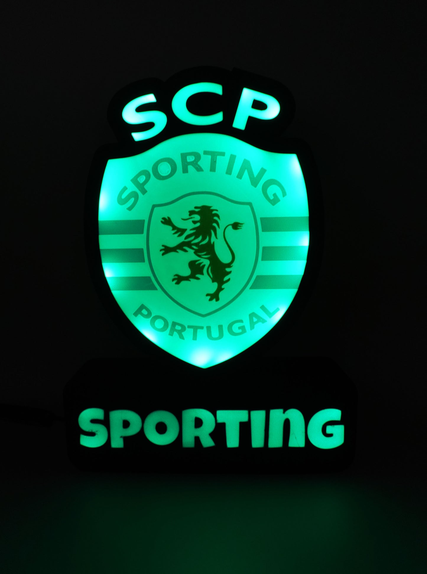Luminaire Sporting