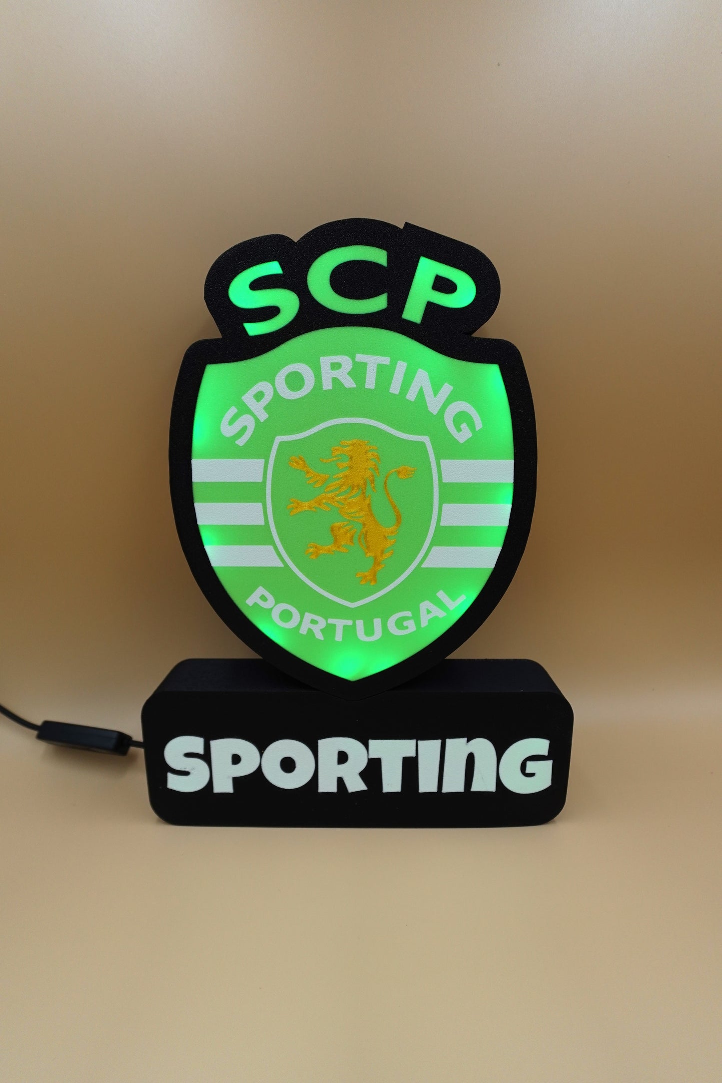 Luminaire Sporting