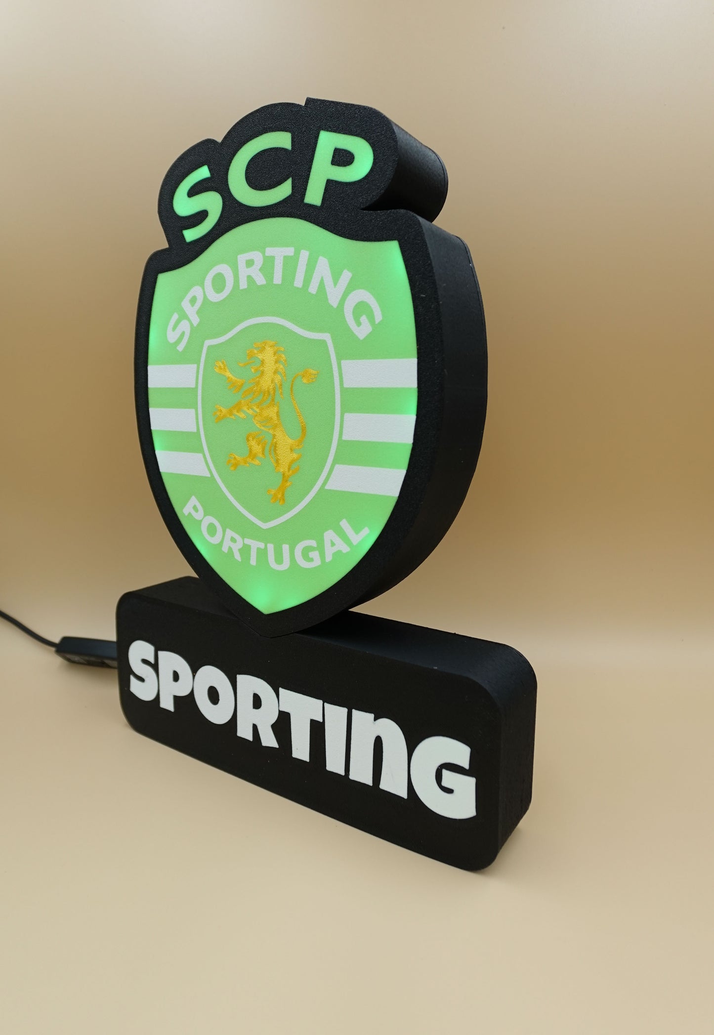 Luminaire Sporting
