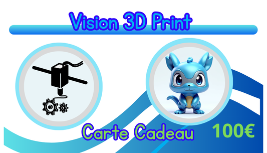 Carte-Cadeau Vision 3D Print 100€