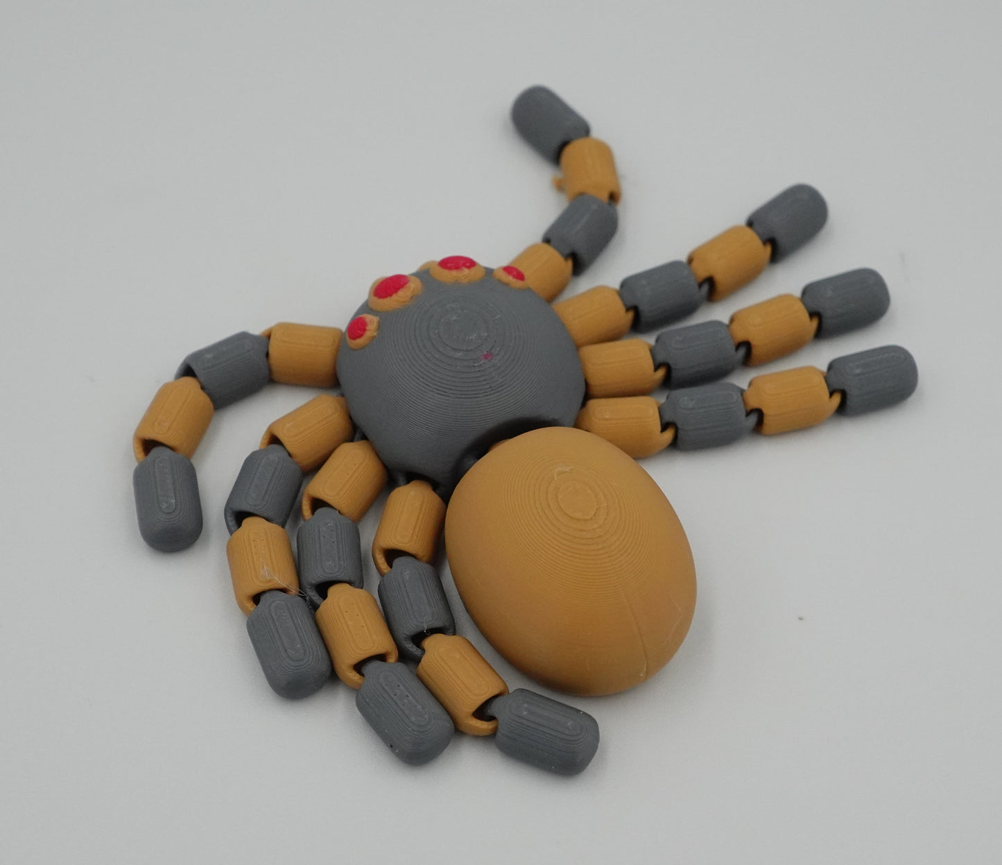 Araignées Articlée