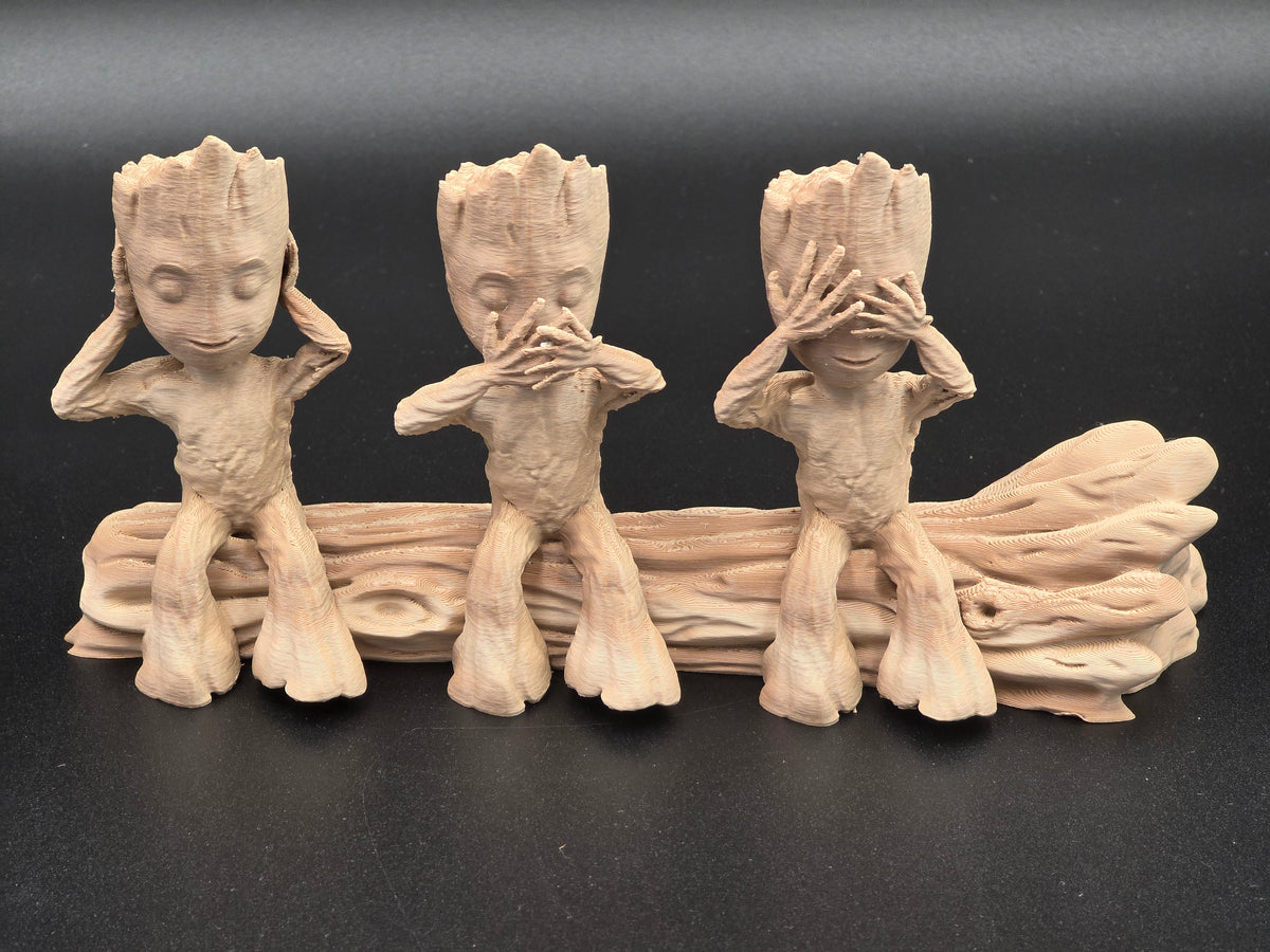 Groot - Les 3 Sages