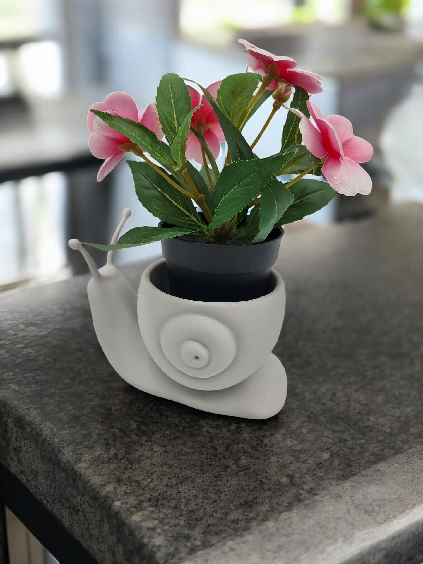 Vase Escargot